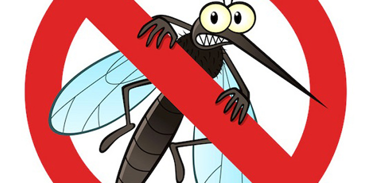 Công dụng tinh dầu khuynh diệp được biết đến nhiều đó là chức năng đuổi muỗi, côn trùng và sinh vật nhỏ gây hại