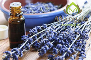 Tinh dầu thiên nhiên Đà Nẵng - tinh dầu Mangala
