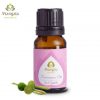 Tinh Dầu Sả Chanh Mangala