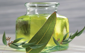 Nhiều dân tộc từ xưa đã có kinh nghiệm sử dụng tinh dầu khuynh diệp nguyên chất như một phương thuốc tự nhiên chống lại vết thương, nhiễm trùng, đau nhức và cảm lạnh.