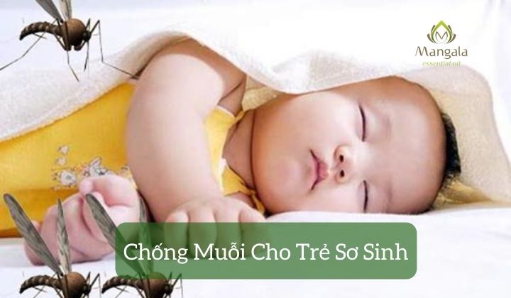 Chống Muỗi Cho Trẻ Sơ Sinh