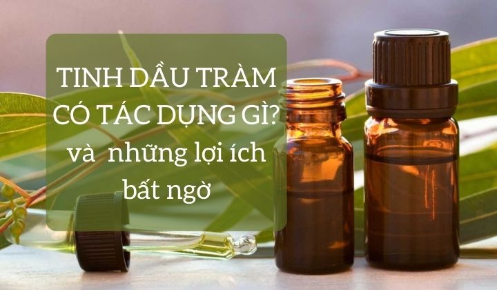 TINH DẦU TRÀM CÓ TÁC DỤNG GÌ? và những lợi ích bất ngờ