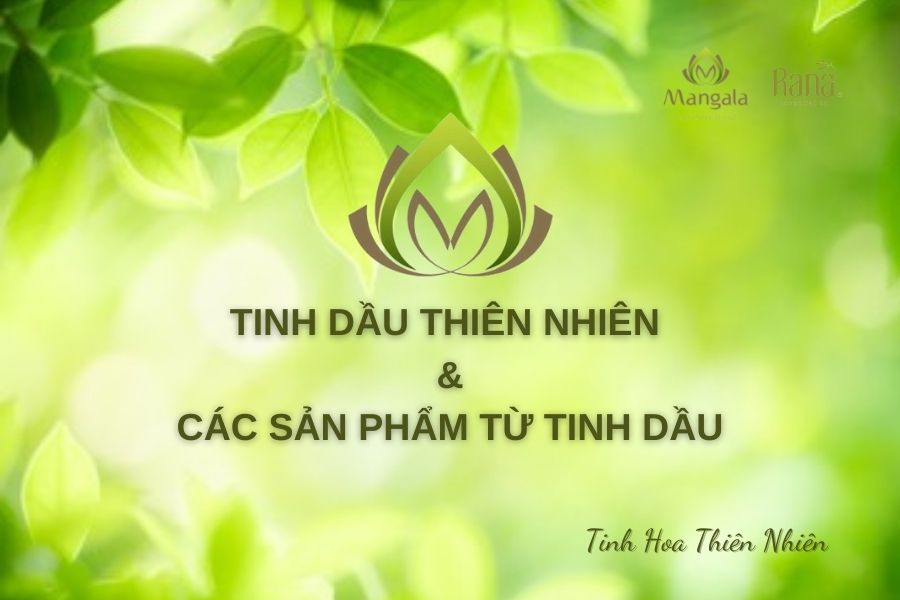 Brochure Tinh Dầu Thiên Nhiên và Các Sản Phẩm Từ Tinh Dầu
