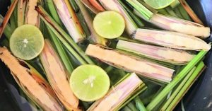 Hương thơm the máy từ Sả Chanh có tác dụng thư giãn, xoa dịu những căng thẳng, mệt mỏi là một liệu pháp tuyệt vời trong việc chống trầm cảm.