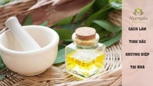 CÁCH LÀM TINH DẦU KHUYNH DIỆPTẠI NHÀ