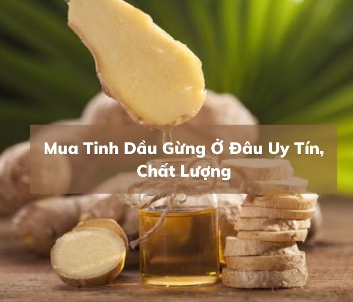 Mua Tinh Dầu Gừng Ở Đâu Uy Tín, Chất Lượng