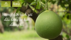 goi dau bang vo buoi