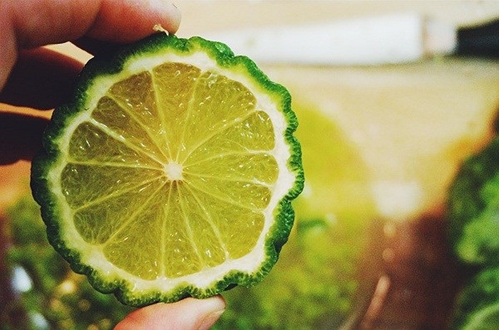 cach lam tinh dau chanh