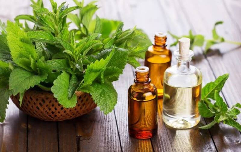 cach su dung tinh dau thom phong