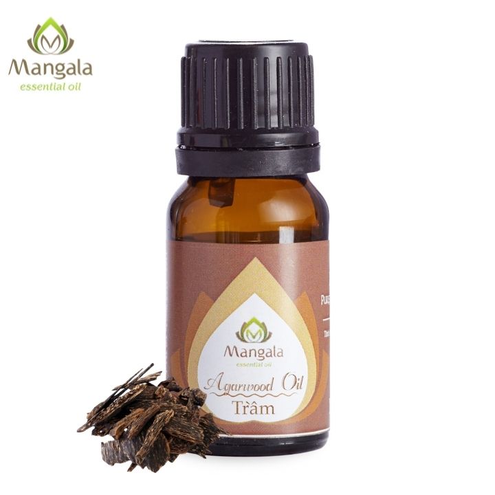 dot tram huong trong phong ngu