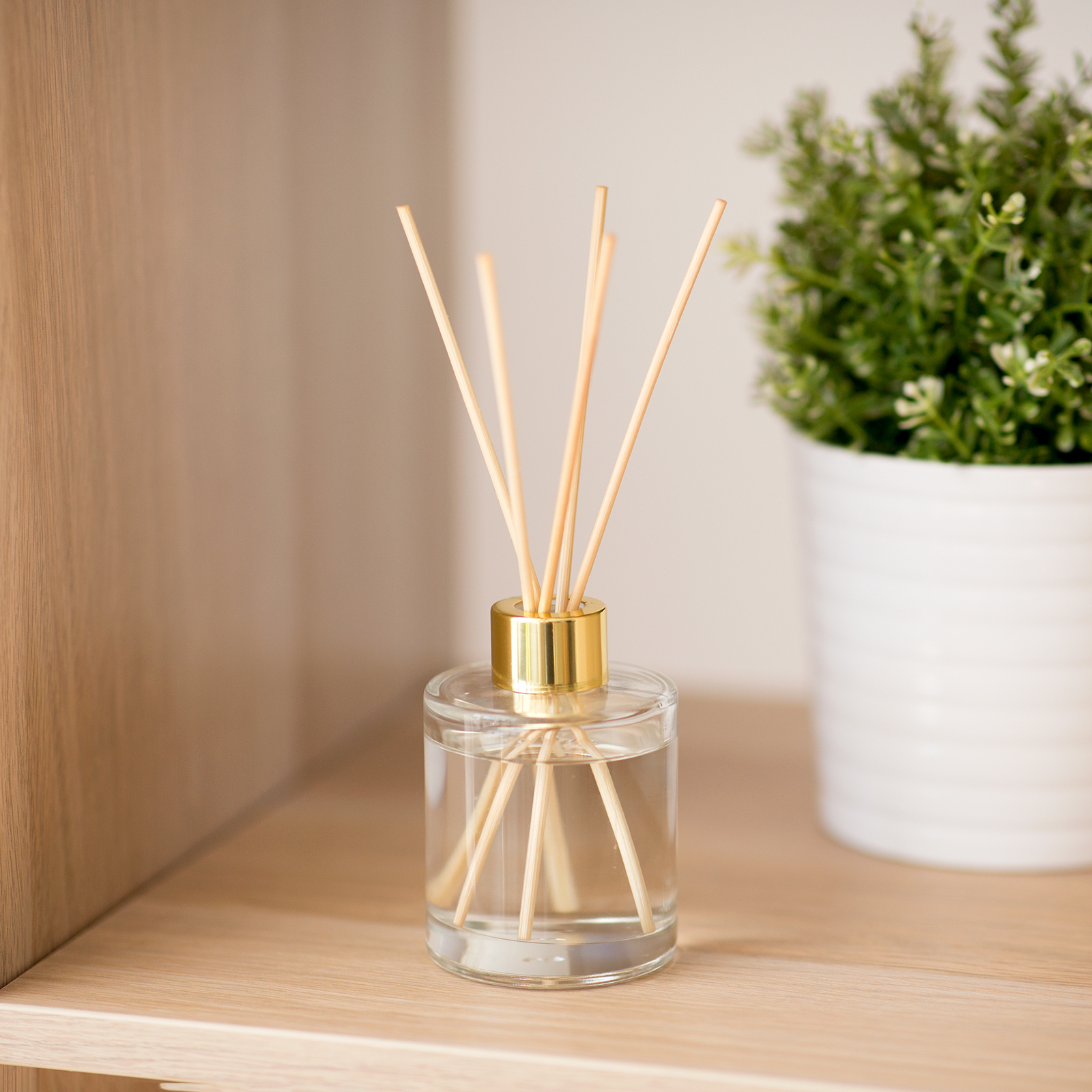 tinh dau khuech tan bang que may