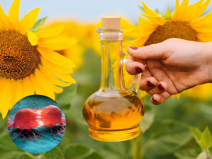 dau huong duong co tot khong