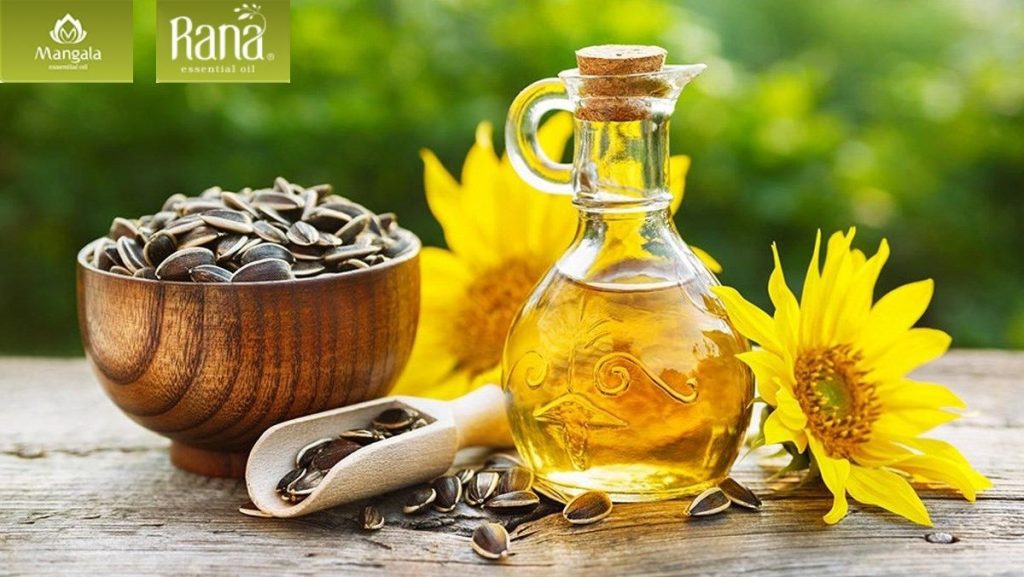 dau huong duong co tot khong