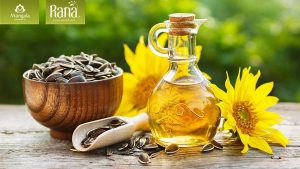 dau huong duong co tot khong