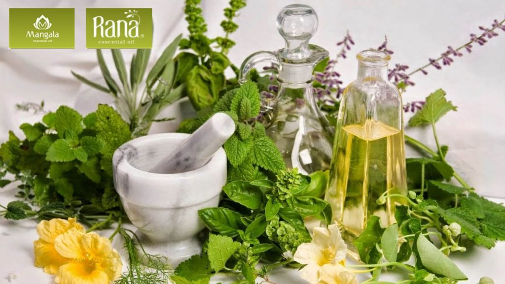 cach lam dau thom tai nha