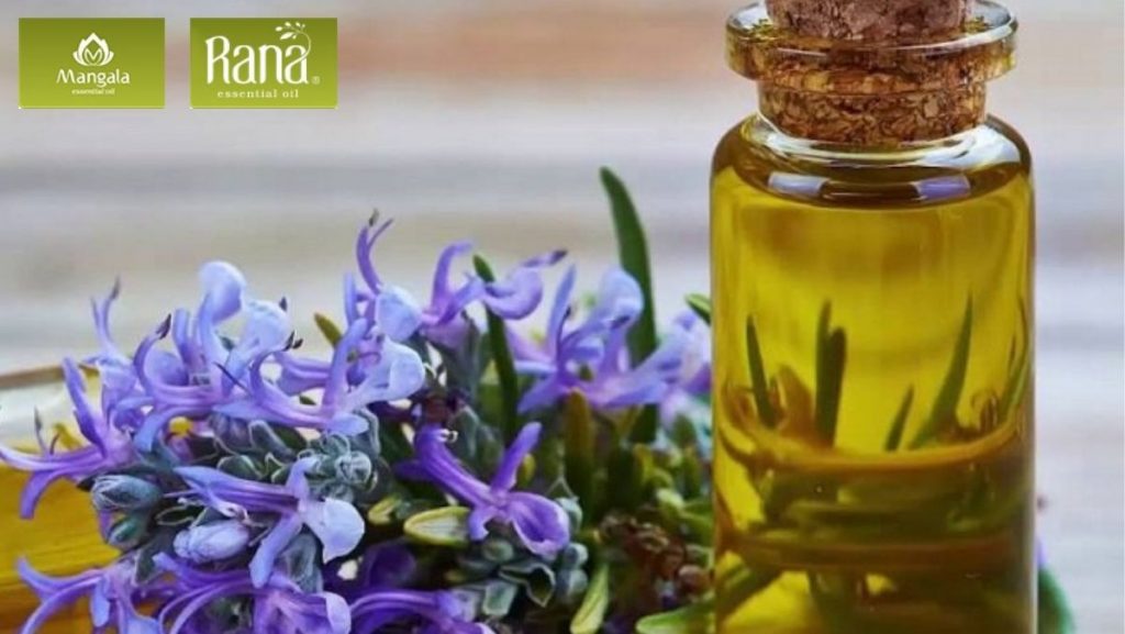 tinh dau duong toc nhanh dai