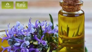 tinh dau duong toc nhanh dai