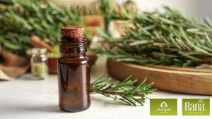 tac hai cua dau tram