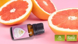 cach bao quan tinh dau buoi