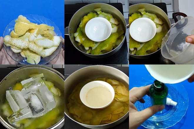 cach chung cat tinh dau buoi