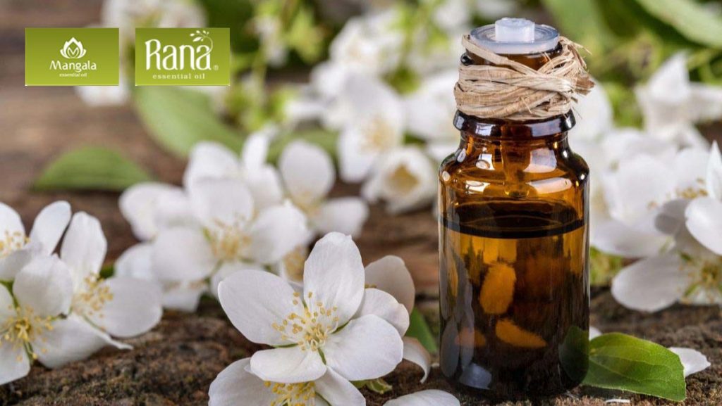 cach lam tinh dau hoa nhai