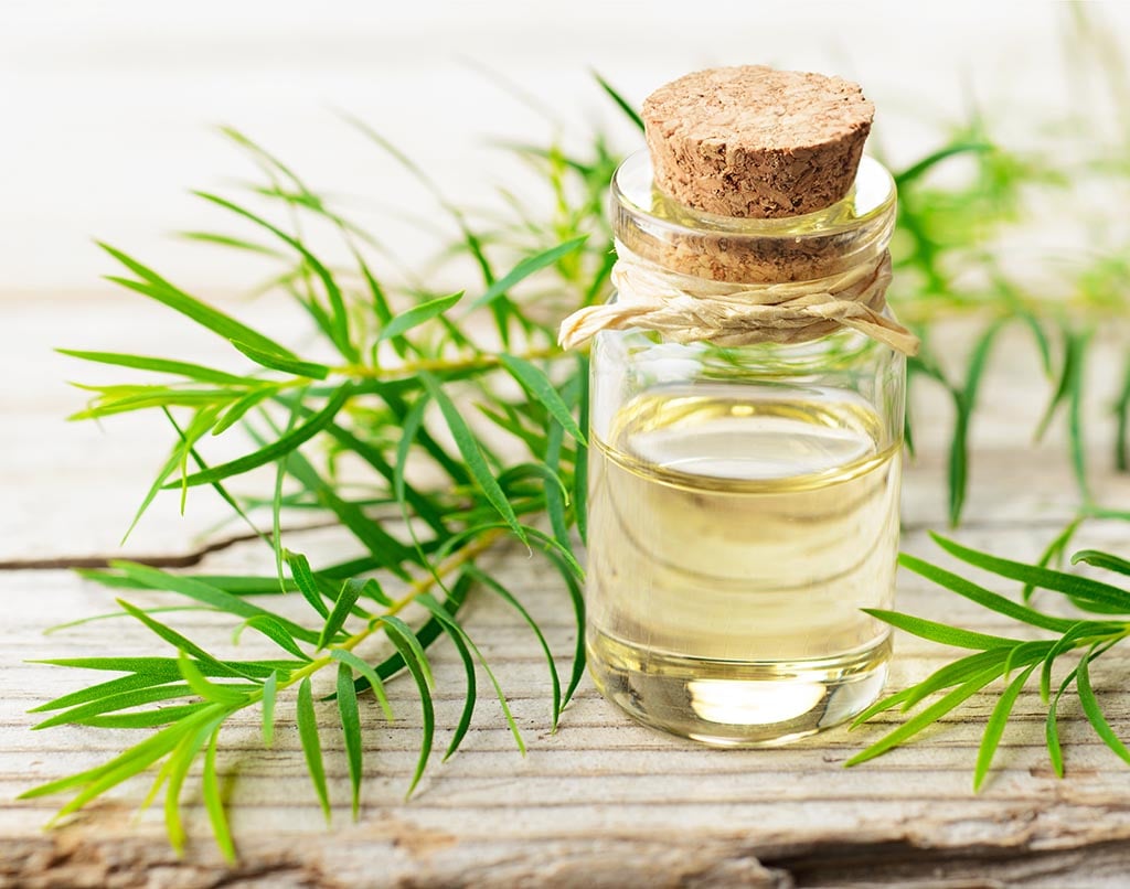 tac hai cua dau tram