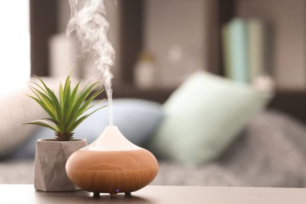 tinh dau bac ha duoi chuot