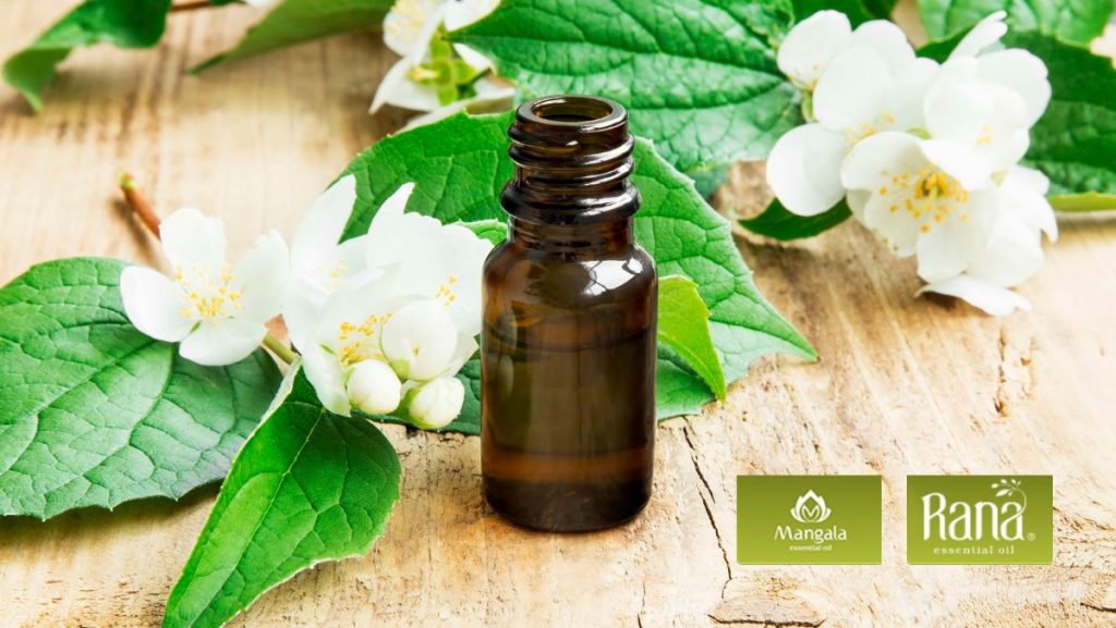 tinh dau hoa nhai co tac dung gi