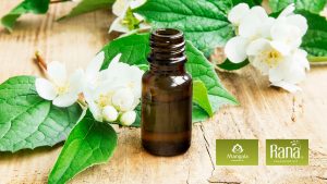 tinh dau hoa nhai co tac dung gi